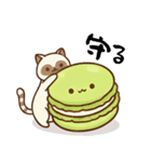 ねこちゃんとマカロンくん（個別スタンプ：5）