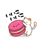 ねこちゃんとマカロンくん（個別スタンプ：7）