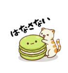 ねこちゃんとマカロンくん（個別スタンプ：8）