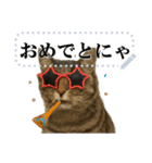 文を書き込める♥サングラス猫＆more（個別スタンプ：3）