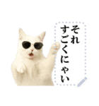 文を書き込める♥サングラス猫＆more（個別スタンプ：4）