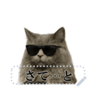文を書き込める♥サングラス猫＆more（個別スタンプ：6）