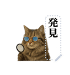 文を書き込める♥サングラス猫＆more（個別スタンプ：9）