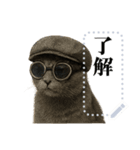 文を書き込める♥サングラス猫＆more（個別スタンプ：13）