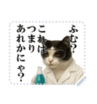 文を書き込める♥サングラス猫＆more（個別スタンプ：22）