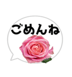 *花* バラ＆吹き出し 01（個別スタンプ：8）