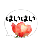 *花* バラ＆吹き出し 01（個別スタンプ：12）