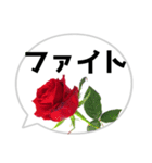 *花* バラ＆吹き出し 01（個別スタンプ：13）