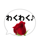 *花* バラ＆吹き出し 01（個別スタンプ：15）