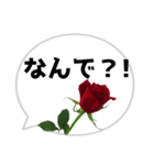 *花* バラ＆吹き出し 01（個別スタンプ：19）