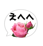*花* バラ＆吹き出し 03（個別スタンプ：1）