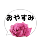 *花* バラ＆吹き出し 03（個別スタンプ：6）