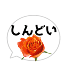 *花* バラ＆吹き出し 03（個別スタンプ：10）