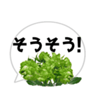 *花* バラ＆吹き出し 03（個別スタンプ：11）
