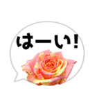 *花* バラ＆吹き出し 03（個別スタンプ：12）