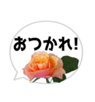 *花* バラ＆吹き出し 03（個別スタンプ：20）