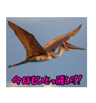 プテラノドンだよー！！（個別スタンプ：2）