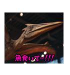 プテラノドンだよー！！（個別スタンプ：3）