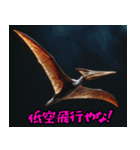 プテラノドンだよー！！（個別スタンプ：10）