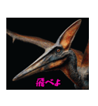 プテラノドンだよー！！（個別スタンプ：12）