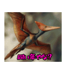プテラノドンだよー！！（個別スタンプ：30）