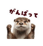 毎日つかえるカワウソ（個別スタンプ：30）