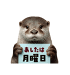 毎日つかえるカワウソ（個別スタンプ：33）