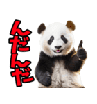 青森弁☆パンダ（個別スタンプ：7）