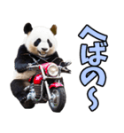 青森弁☆パンダ（個別スタンプ：11）