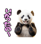 青森弁☆パンダ（個別スタンプ：12）