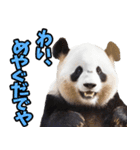 青森弁☆パンダ（個別スタンプ：28）