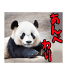 青森弁☆パンダ（個別スタンプ：32）