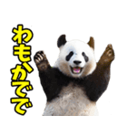 青森弁☆パンダ（個別スタンプ：39）