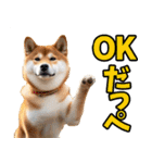 茨城弁☆柴犬（個別スタンプ：3）