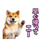 茨城弁☆柴犬（個別スタンプ：18）