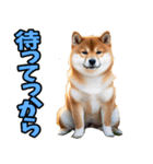 茨城弁☆柴犬（個別スタンプ：20）