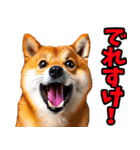 茨城弁☆柴犬（個別スタンプ：25）