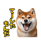 茨城弁☆柴犬（個別スタンプ：29）