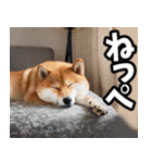 茨城弁☆柴犬（個別スタンプ：40）