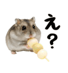 ジャンガリアンハムスターの日常.（個別スタンプ：4）