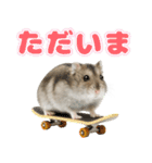 ジャンガリアンハムスターの日常.（個別スタンプ：12）