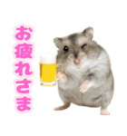 ジャンガリアンハムスターの日常.（個別スタンプ：17）