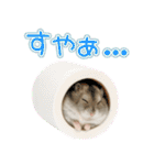 ジャンガリアンハムスターの日常.（個別スタンプ：19）