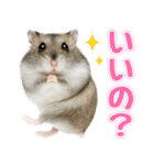ジャンガリアンハムスターの日常.（個別スタンプ：25）