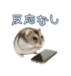 ジャンガリアンハムスターの日常.（個別スタンプ：29）
