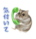 ジャンガリアンハムスターの日常.（個別スタンプ：32）