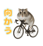ジャンガリアンハムスターの日常.（個別スタンプ：37）