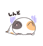 ダルにゃん！（個別スタンプ：20）