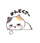 ダルにゃん！（個別スタンプ：22）