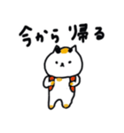 毎日使えるデカ文字の日本猫スタンプ（個別スタンプ：8）